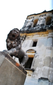 The lion outside the Cathedral